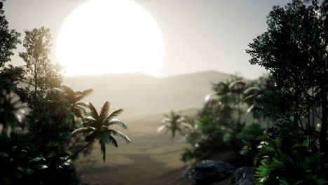 Kokospalmen-Tropische-Landschaft